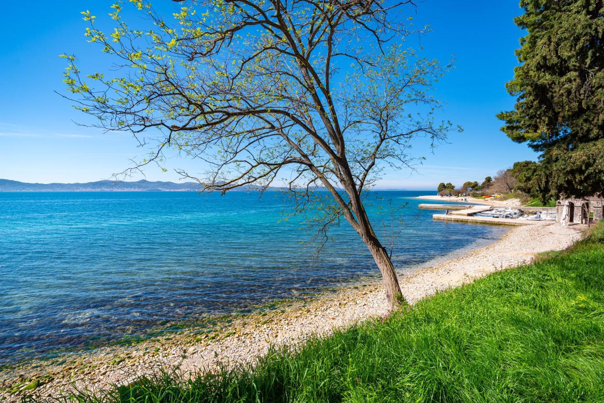 Appartamento Kolovare Garden Oasis - First Row By Sea Zara Esterno foto